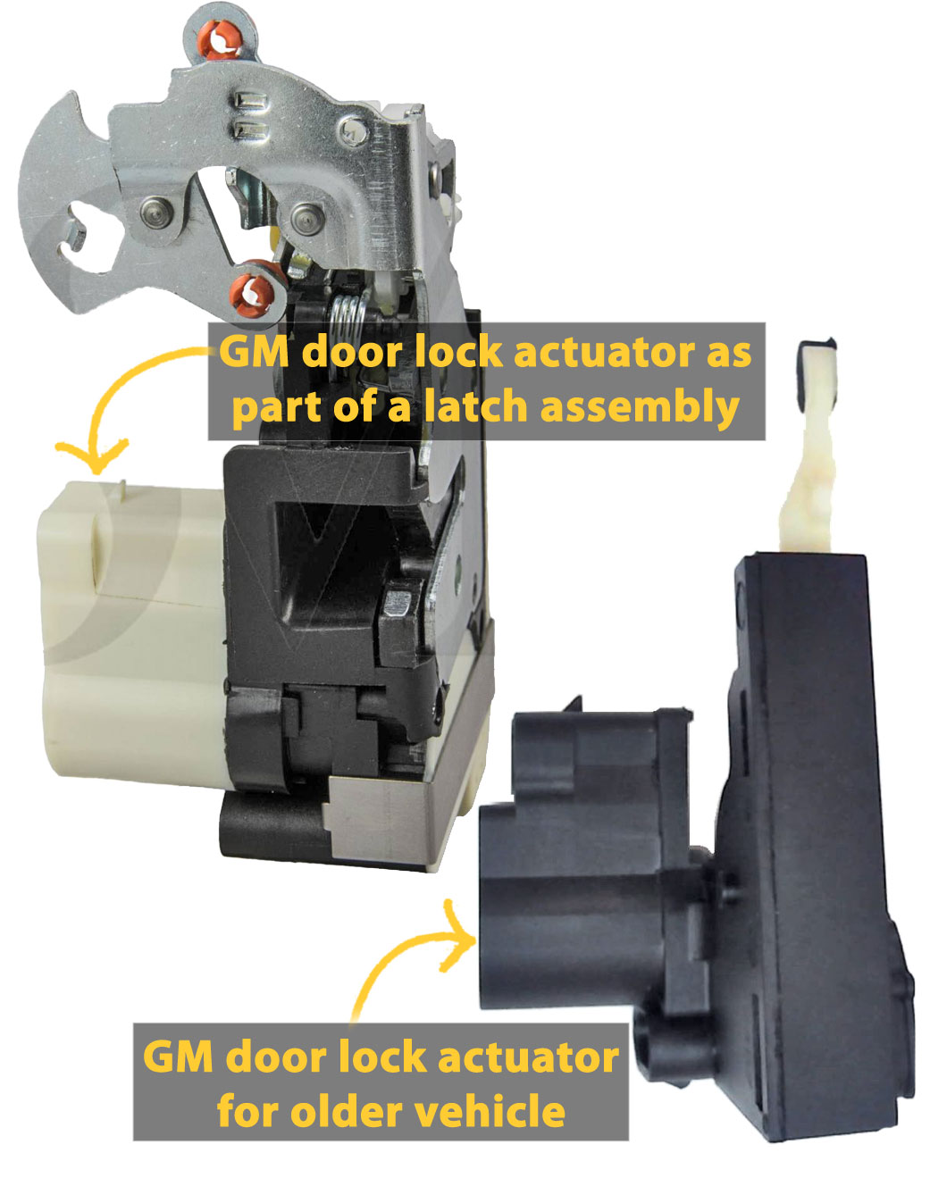 Door Lock Actuator and Door Latch Assembly